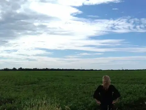 VENTA EXCELENTE CAMPO AGRICOLA, RUTA 11, MARC. ESC