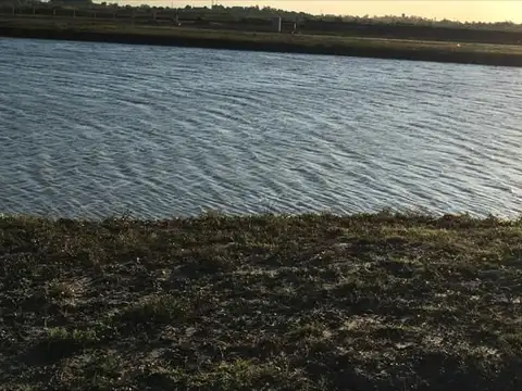 Lote - Venta - Argentina, Berazategui - Au. Ricardo Balbín 100