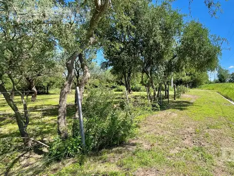 Lote comercial en venta - Merlo San Luis
