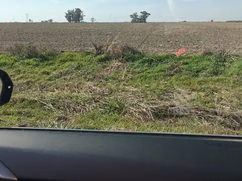 Estableciento Rural "La Mariana", San Justo, Santa Fe