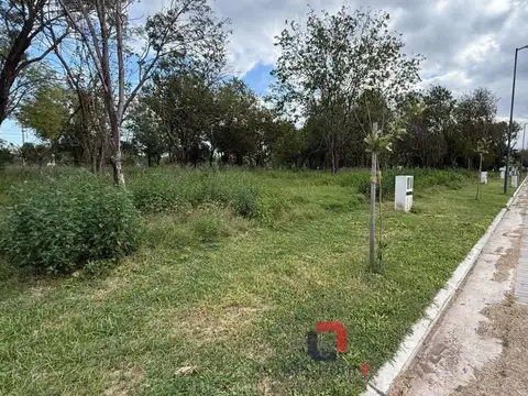 Terreno en Venta de 250,0 m2