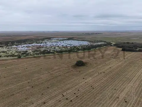 Campo en Venta de 0,08  ha