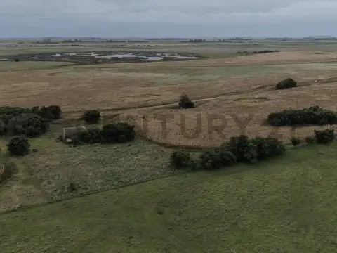 VENTA CAMPO GENERAL PIRAN 780 HECTAREAS