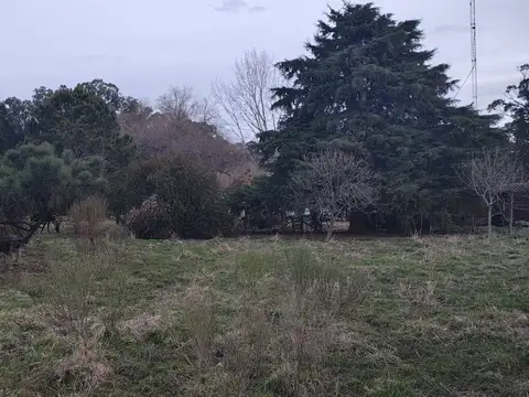 Leandro N. Alem 2000