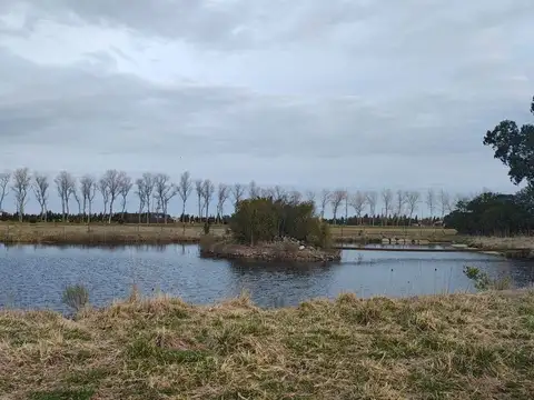 Quinta en Venta en Dolores, USD 320.000