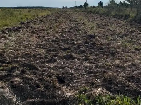 Campo sobre ruta Z/ Puerto Valle
