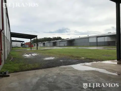 Depósito en Alquiler en Zárate