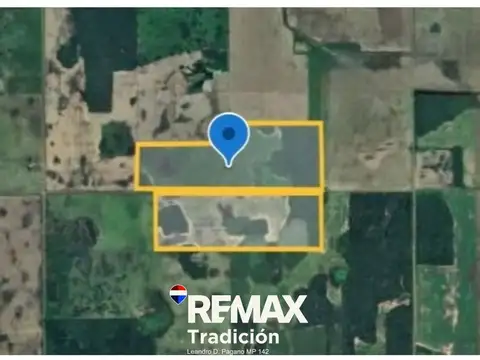 Campo 55 Has en venta – O’Higgins – Mixto