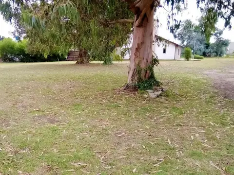 Paseo de las Casuarinas S/N