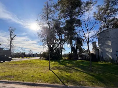 Santa Elena 100