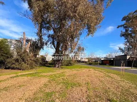 Santa Elena 100
