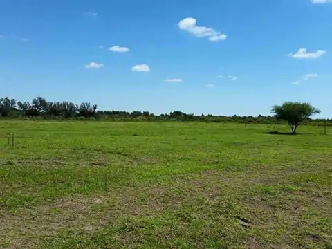 Terreno en Venta de 500,0 m2