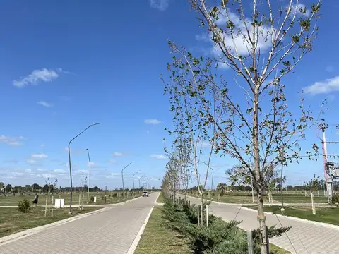 Eco tierra Pueblo Esther