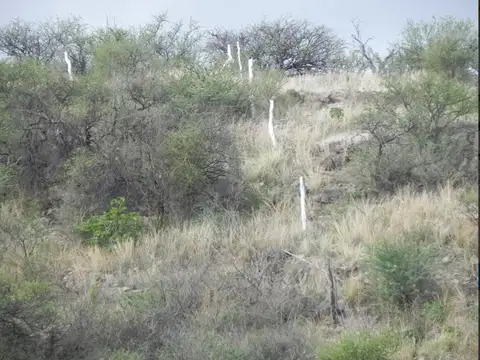 Terreno en Venta de 5464,0 m2