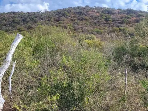 Terreno en Venta de 5464,0 m2