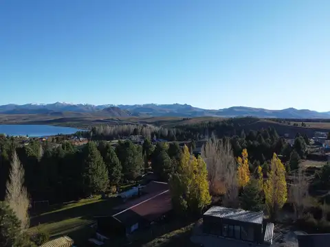 girasoles del limay 300