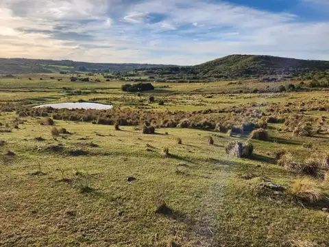 Campo de 39 has en Maldonado, Uruguay 