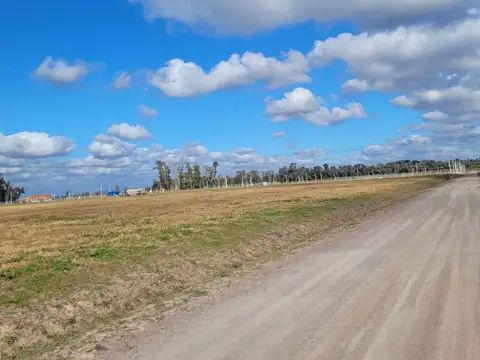 Terreno en Venta de 1581,0 m2
