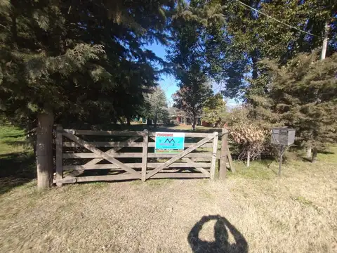 Quinta - Venta - Argentina, DOMSELAAR - ALFONSINA STORNI 610