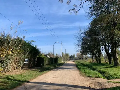 Ameghino 600
