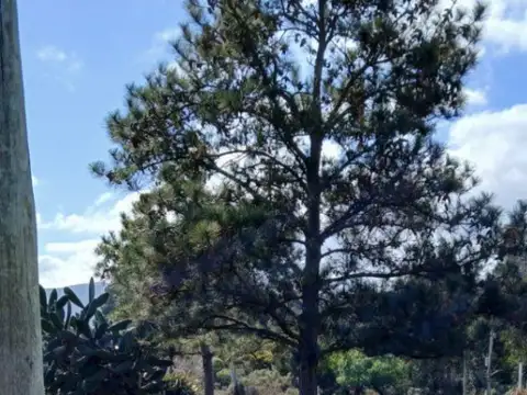 Terreno en venta de 1987m2 ubicado en Balneario Las Flores