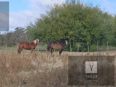 Campo en  Chubut - Patagonia