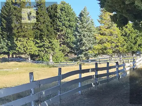 Río Pico  - Chubut - Patagonia - Producción, caza y pesca
