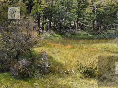 Campo en  Chubut - Patagonia
