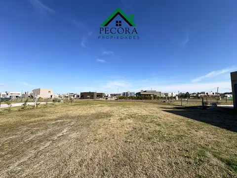 El ensueño - Lote 286