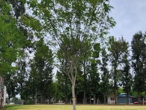 Terreno en Venta de 522,0 m2