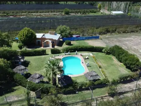 Campo en Venta en Cuadro Benegas, San Rafael