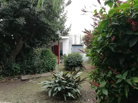 El Picaflor 700