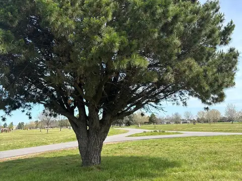 Los Cardales Mirabosques