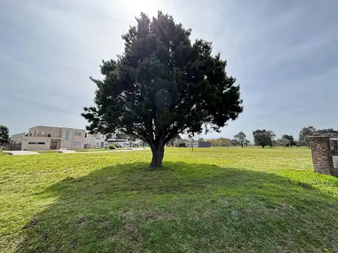 Los Cardales Mirabosques