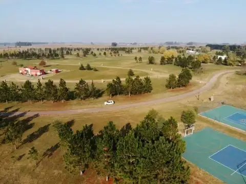 Ruta 6 100