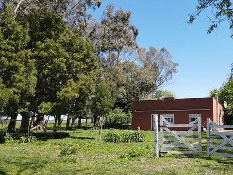 Campo en venta - 8ha - Lezama