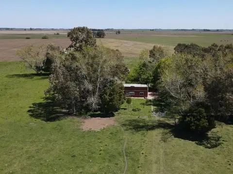 Campo en venta - 8ha - Lezama