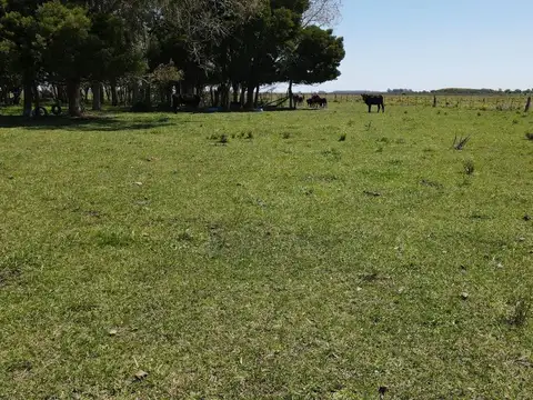 Ruta 2 Km 148
