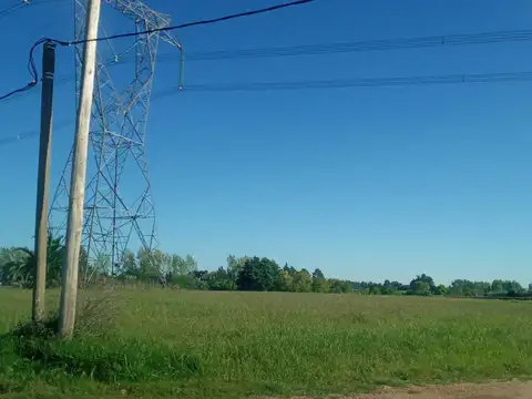 Campo de 2 hás sobre Ruta 75
