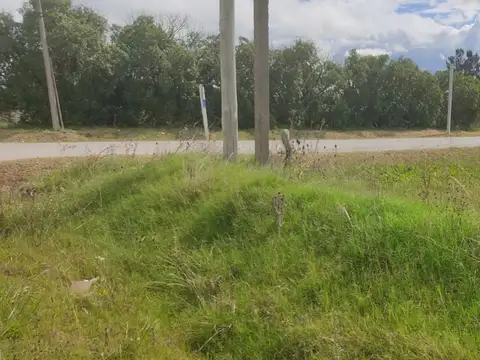Ruta 75