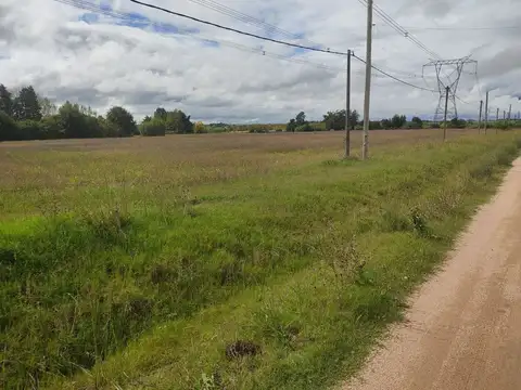 Campo de 2 hás sobre Ruta 75