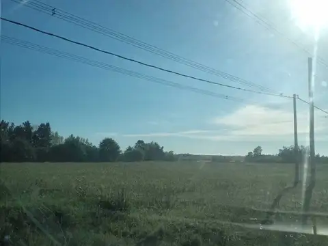 Campo de 2 hás sobre Ruta 75