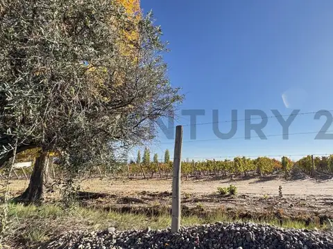 Terreno en Venta en Mayor Drummond, USD 26.000