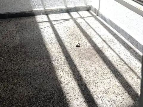 Casa en Alquiler al Este