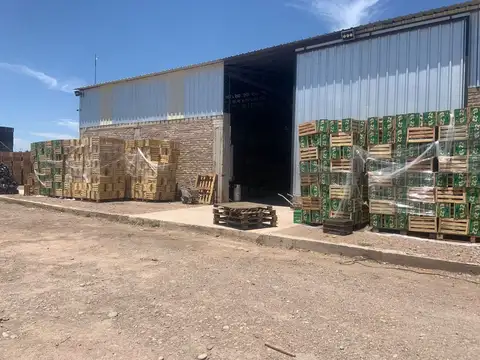 Galpon en Venta 1 año