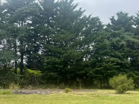 Terreno en Venta en Villa Elisa, Partido de La Plata