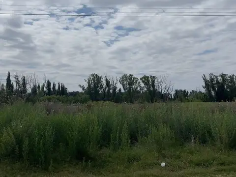 Terreno en Venta en La Consulta, USD 120.000