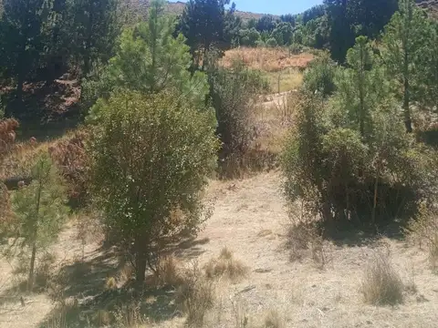 Terreno en Villa Ayelen El Maitenal