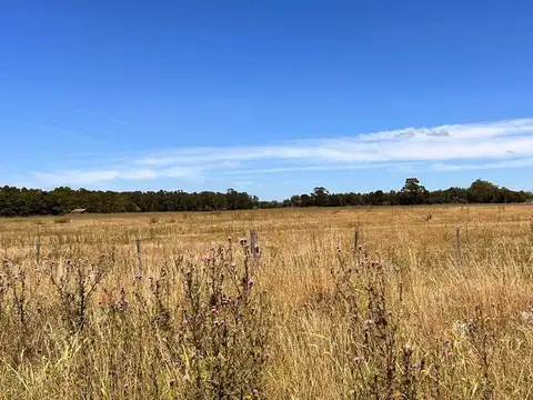 Terreno en Venta de 3606,0 m2