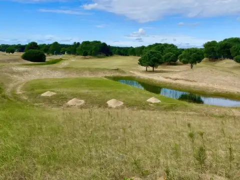 Terreno en venta - 1000mts2 - Villa Robles, Pinamar